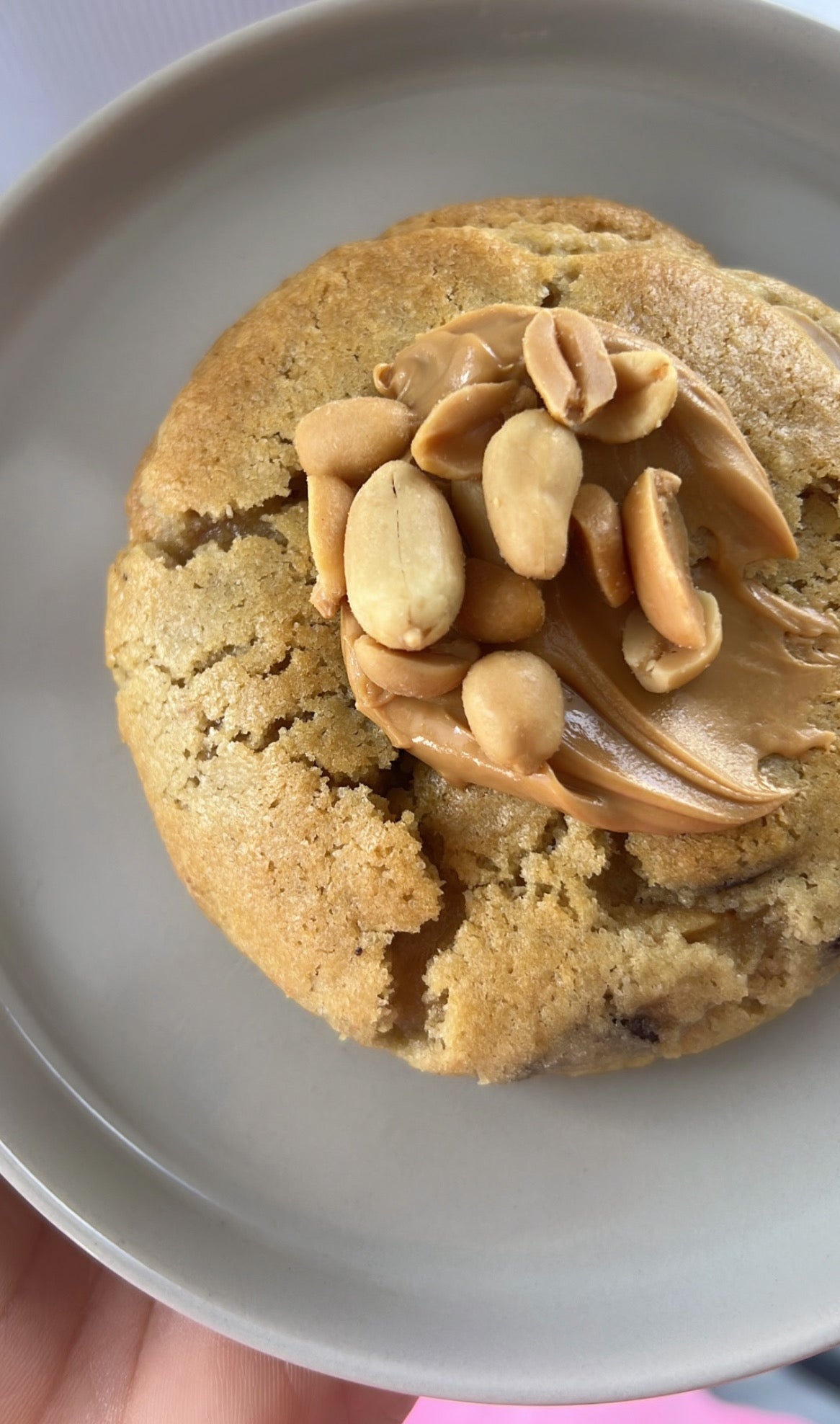 🌱GLUTEN FREE Salty Peanut Crush