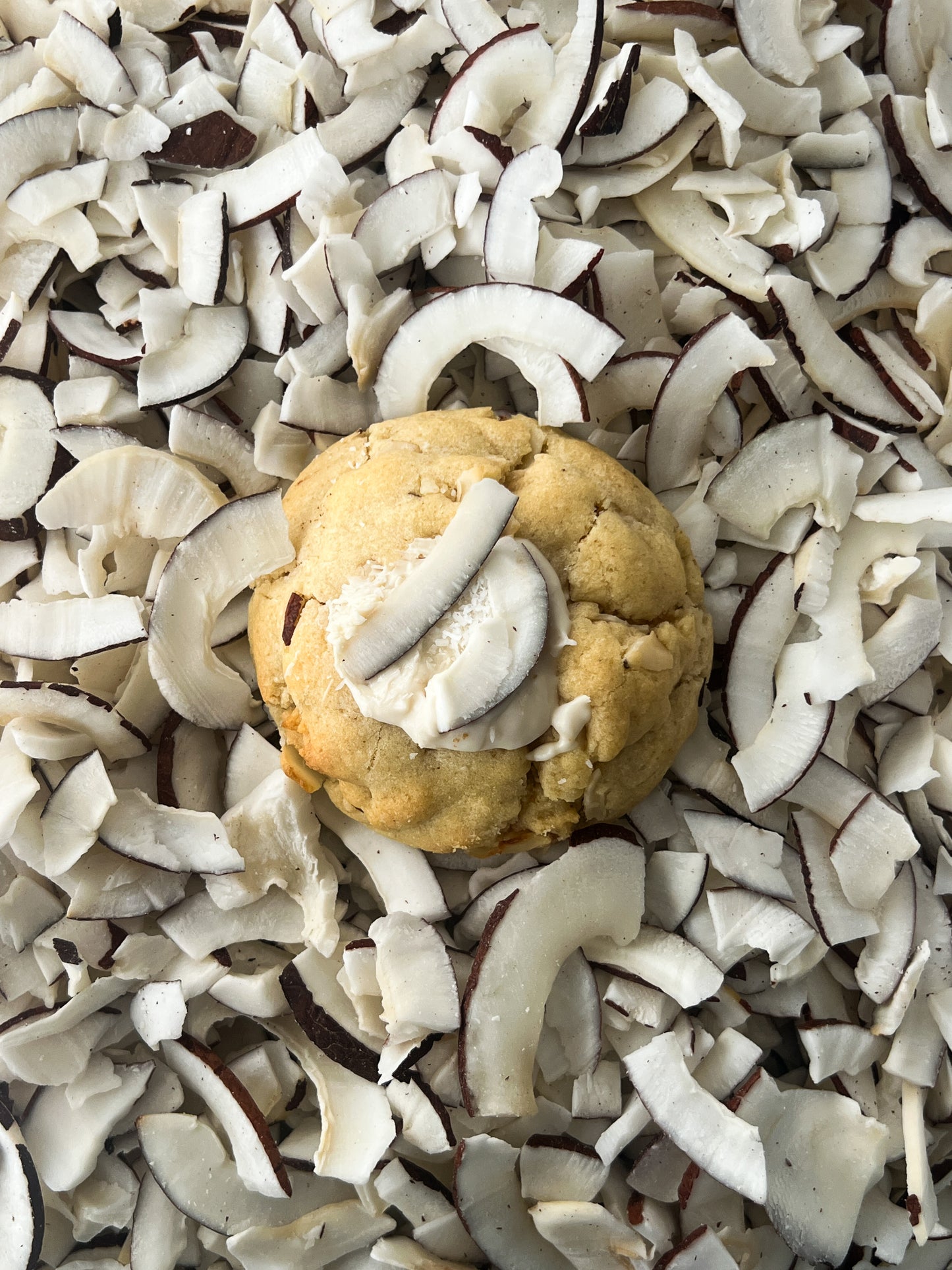 Cookie Party Box • 12 Cookies